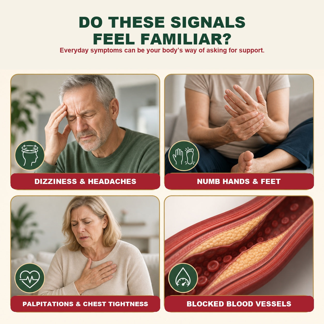 Support Healthy Circulation—created to support everyday circulation, balance and vitality-CU