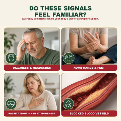 Support Healthy Circulation—created to support everyday circulation, balance and vitality-CU