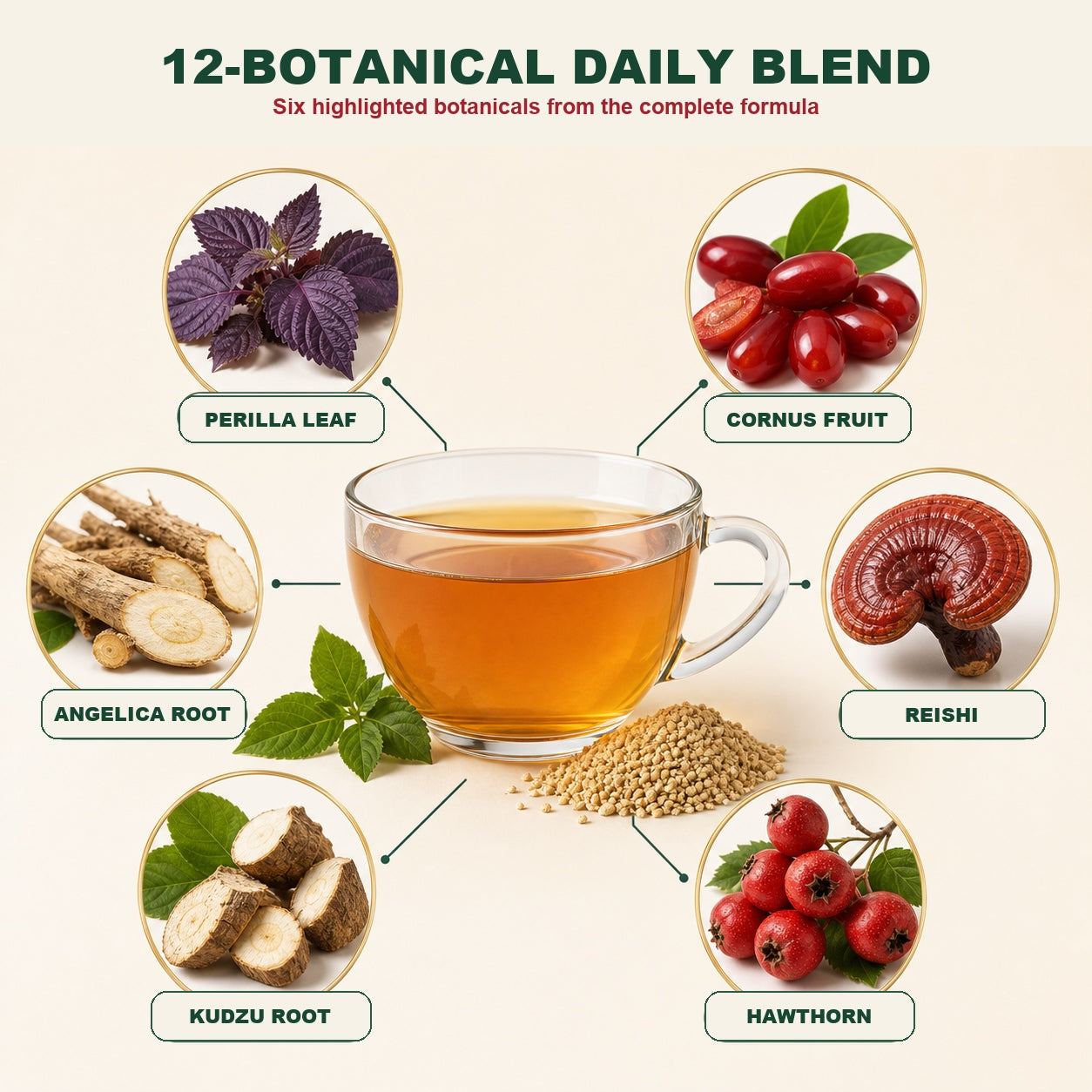 Support Healthy Circulation—created to support everyday circulation, balance and vitality-CU